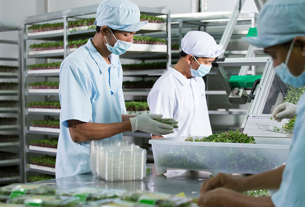 Chụp Ảnh Quảng Cáo VinEco