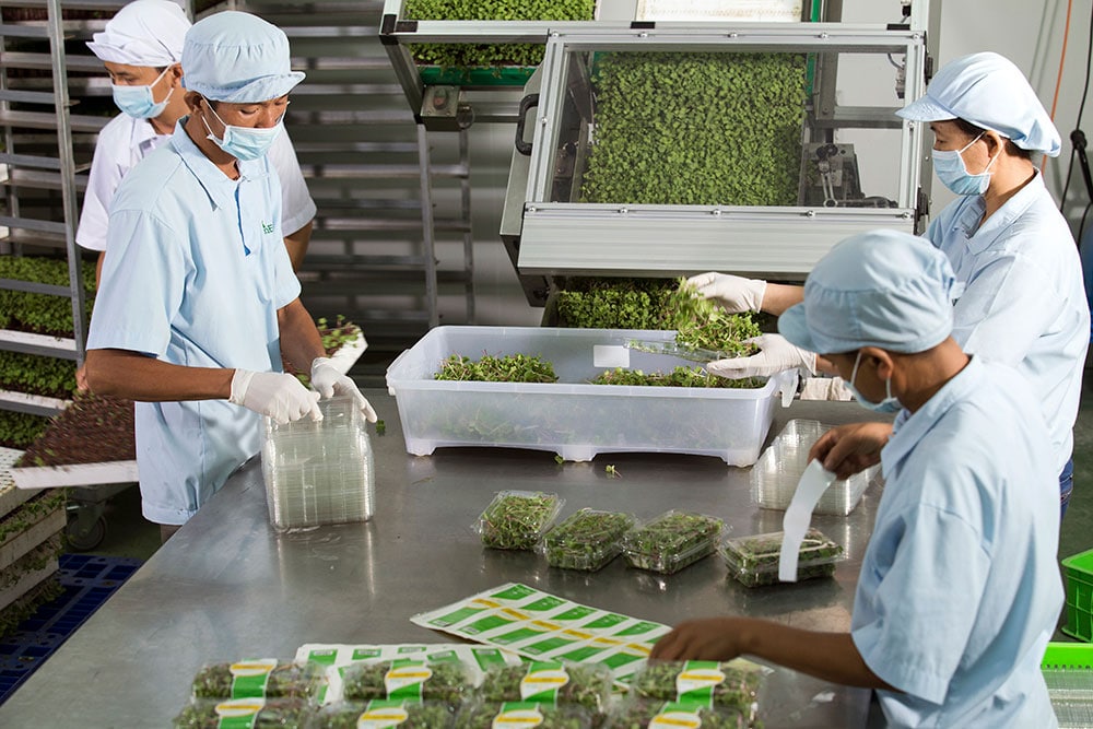 Chụp Ảnh Quảng Cáo Đẹp