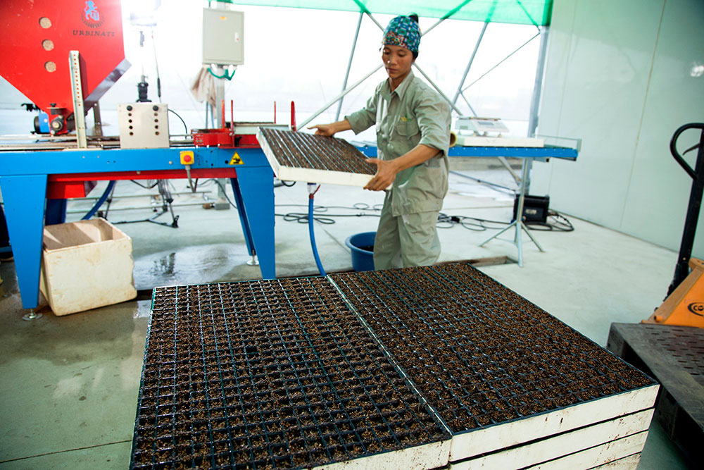 Chụp Ảnh Quảng Cáo Chuyên Nghiệp